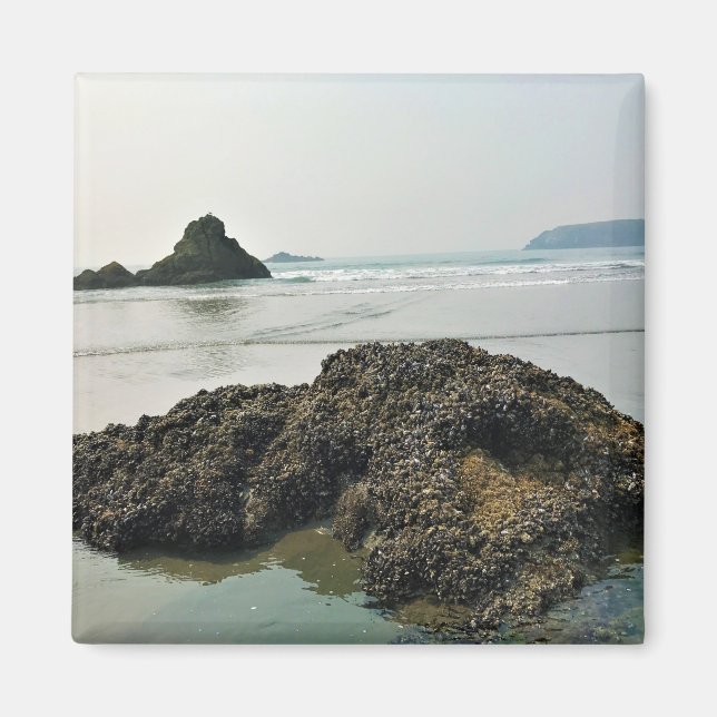 Aimant Meyers Beach North, Gold Beach, Oregon (Devant)