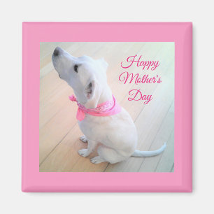 Aimant Mignonne Chien blanc portant l'écharpe rose Fête d