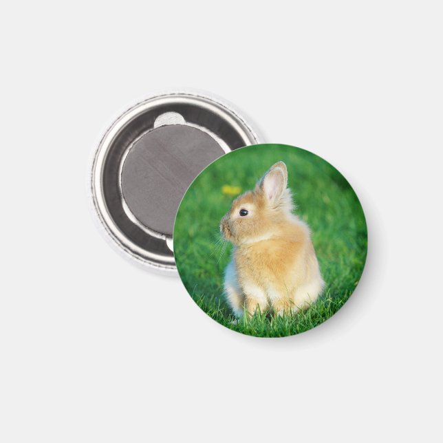 Aimant Mignonne Lapin Faune assis dans l'herbe (Recto/Verso)