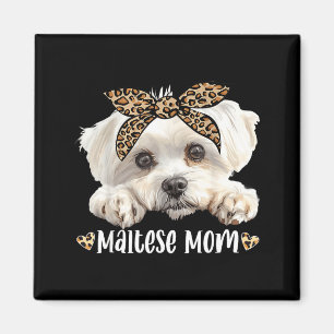 Aimant Mignonne maman maltese maman léopard amoureux des