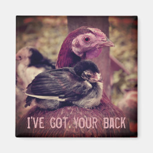 Aimant Mignonne Mère Hen et Chick