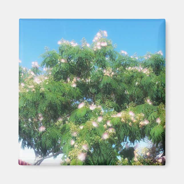 Aimant Mimosa Tree (Devant)