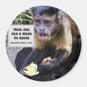 Aimant Mine are hard to raise