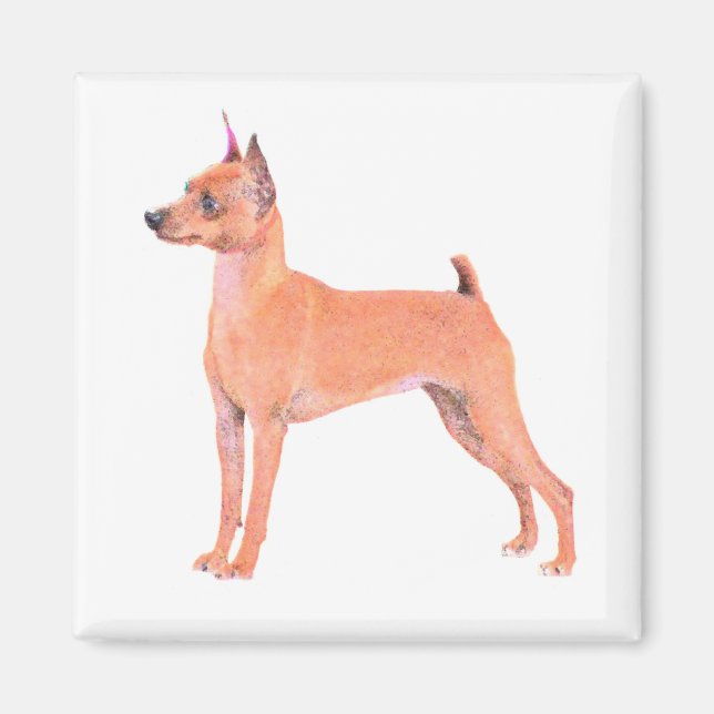 Aimant Miniature de Pinscher (Devant)