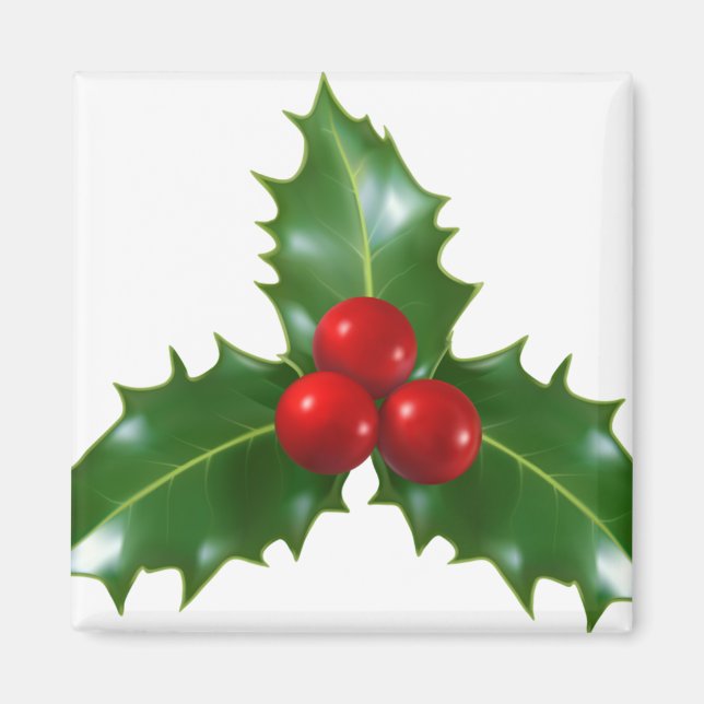Aimant Mistletoe (Devant)
