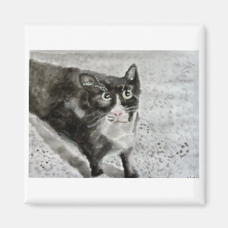 Aimant Mitten le chaton sur l'aimant