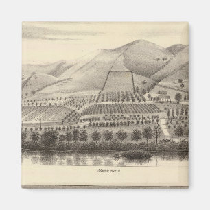 Aimant Mizzen Top Rancho