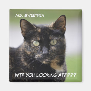 Aimant Mme Sweetpea la Tortie