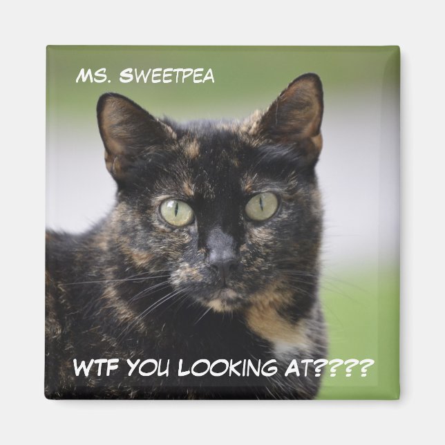 Aimant Mme Sweetpea la Tortie (Devant)
