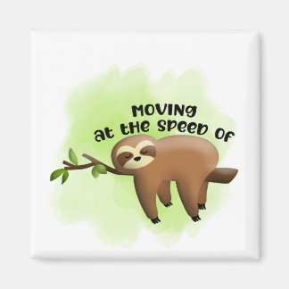 Aimant Mode Sloth