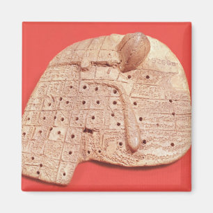 Aimant Modèle du foie d'un mouton