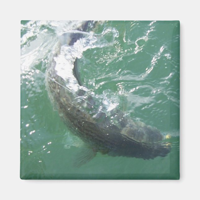 Aimant Modèle magnétique (Devant)