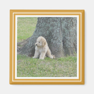 Aimant Modèle photo personnalisé jaune et blanc