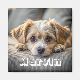 Aimant Moderne Rustique Simple Personnalisé Photo Pet