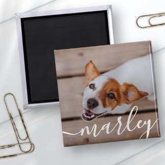 Aimant Moderne Simple Jouer Élégant Chic Pet Photo