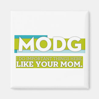 aimant MODG