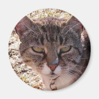 MOGÈNE