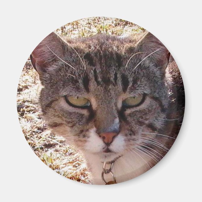 AIMANT MOGÈNE (Devant)