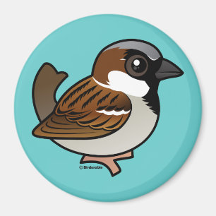Aimant Moineau de Chambre