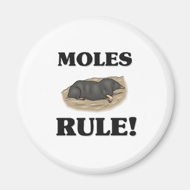 Aimant MOLES Rule ! (Devant)