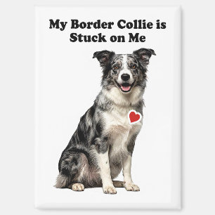 Aimant Mon Border Collie Merle Bleu est accroché à moi