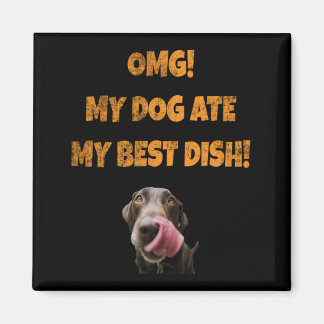 Aimant Mon chien a mangé mon meilleur botte en acier inox