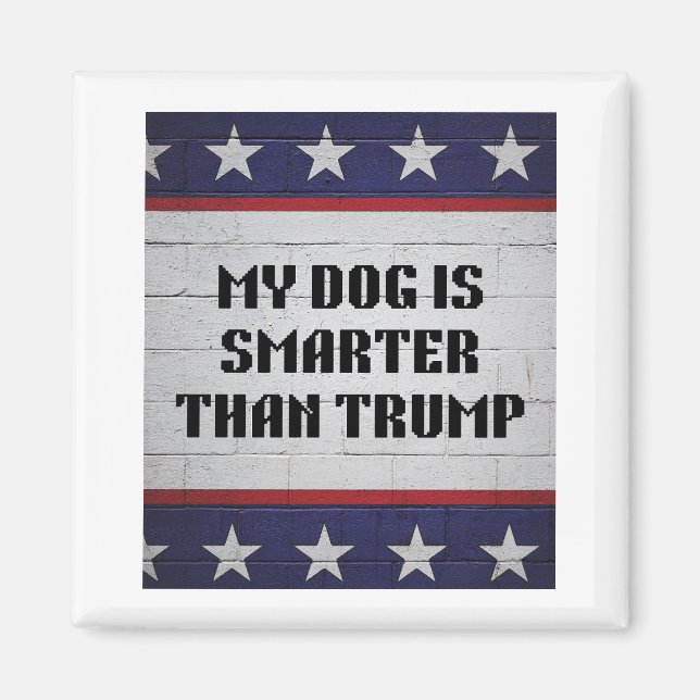 Aimant Mon Chien Est Plus Intelligent Que Trump (Devant)
