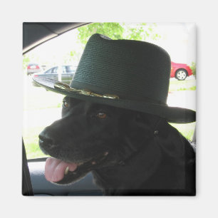 Aimant Mon Labrador