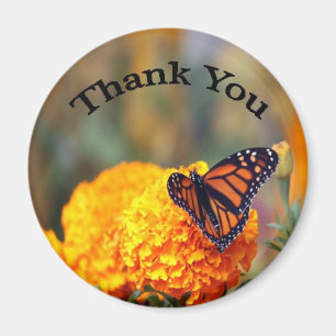 Aimant Monarch Butterfly Marigold Merci photo