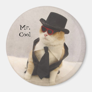 Aimant Monsieur le Cool