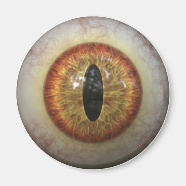 Aimant Monster Eye (Devant)