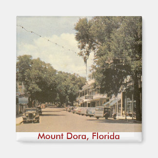 Aimant Mont Dora, Floride