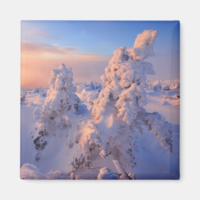 Aimant Mont Logan Sunrise Parc national de la Gaspésie Qu (Devant)