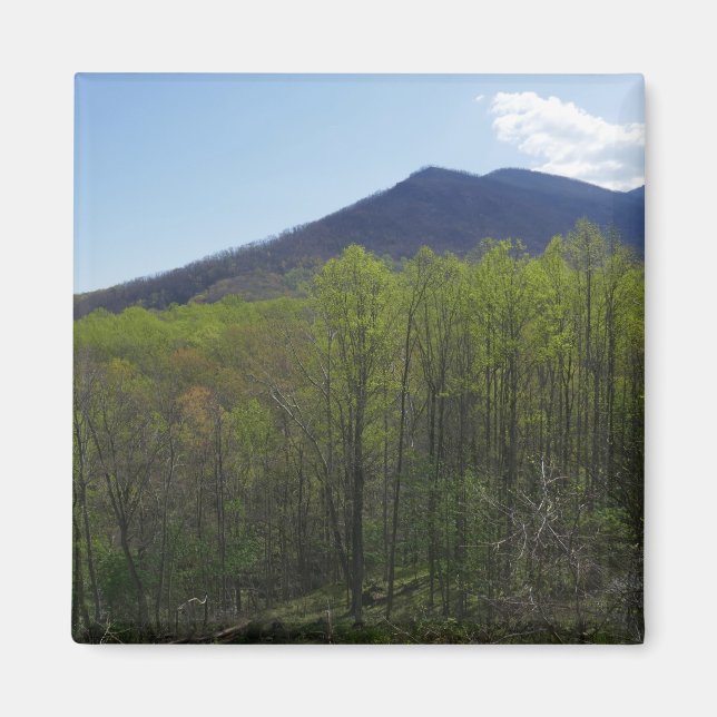 Aimant Montagnes fumées dans le paysage du printemps (Devant)