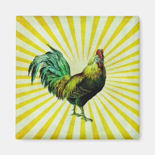 Aimant Monter et briller