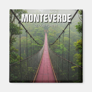 Aimant Monteverde Forêt nuageuse Costa Rica Voyage