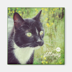 Aimant Montre Avec Des Yeux Étincelants Chat