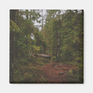Aimant Moody Swedish Forest