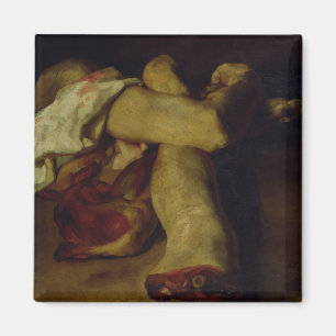 Aimant Morceaux anatomiques