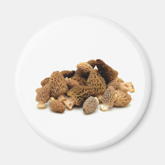 Aimant Morel Mushroom