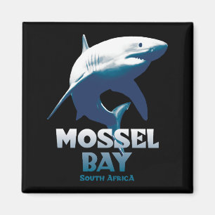 Aimant Mossel Bay Grand requin blanc Plongée sous-marine