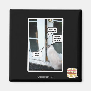 Aimant Mot de passe svp