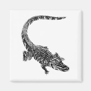 Aimant Motif Crocodile Alligator Reptile Dents Animal Cro
