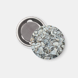 Aimant Motif de dérive de coquillages côtiers