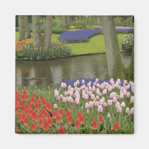 Aimant Motif de tulipes et de fleurs de jacinthe de raisi