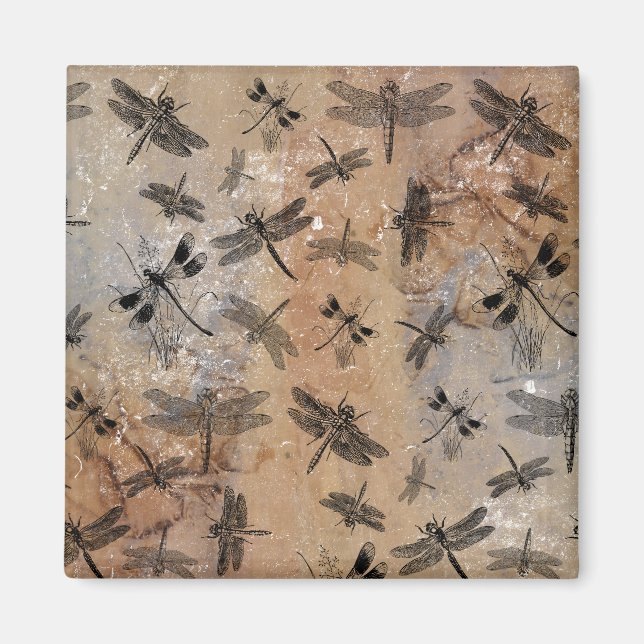 Aimant Motif d'Entomologie vintage (Devant)