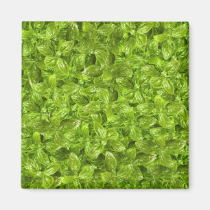 Aimant Motif Feuille Basil