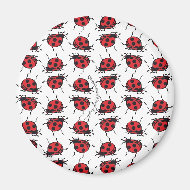 Aimant Motif Ladybug (Devant)