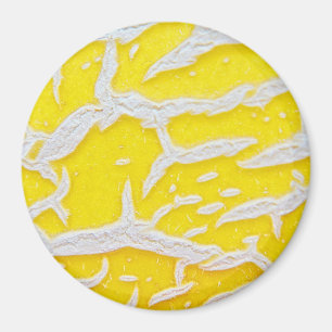 Aimant Motif melon jaune