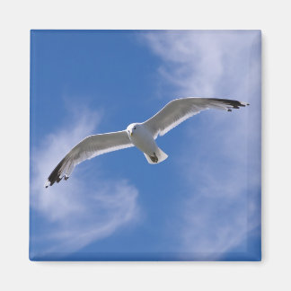 Aimant Mouette